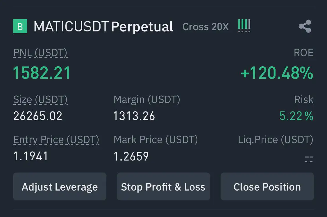 PNL Screenshot 3
